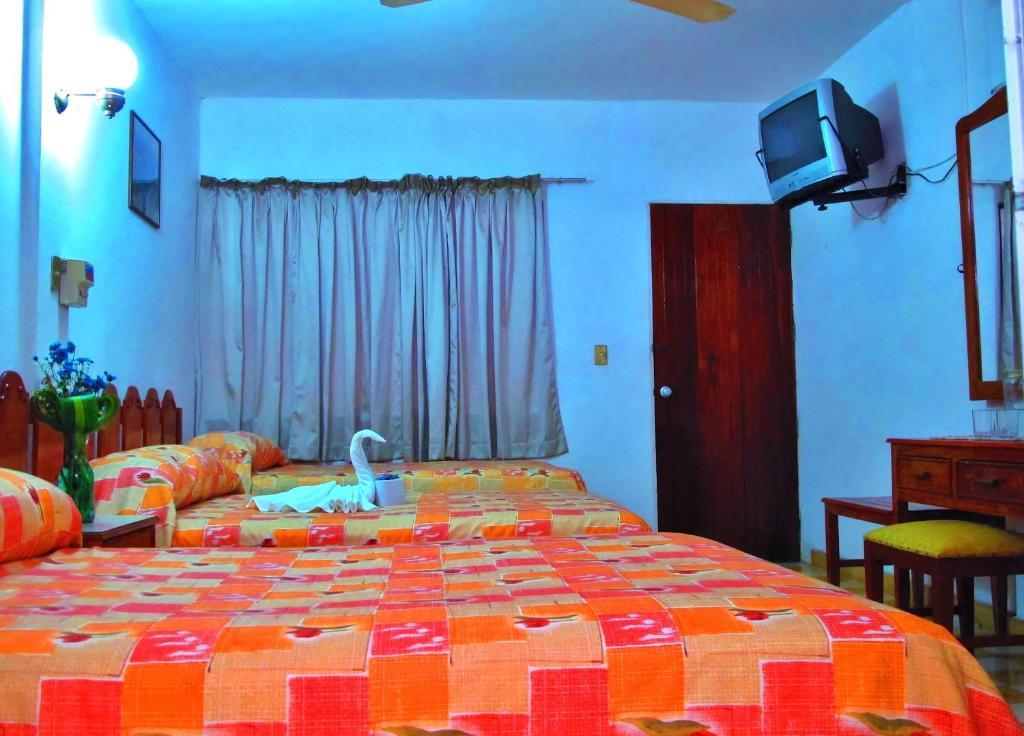 Hotel Acuario Catemaco Rum bild